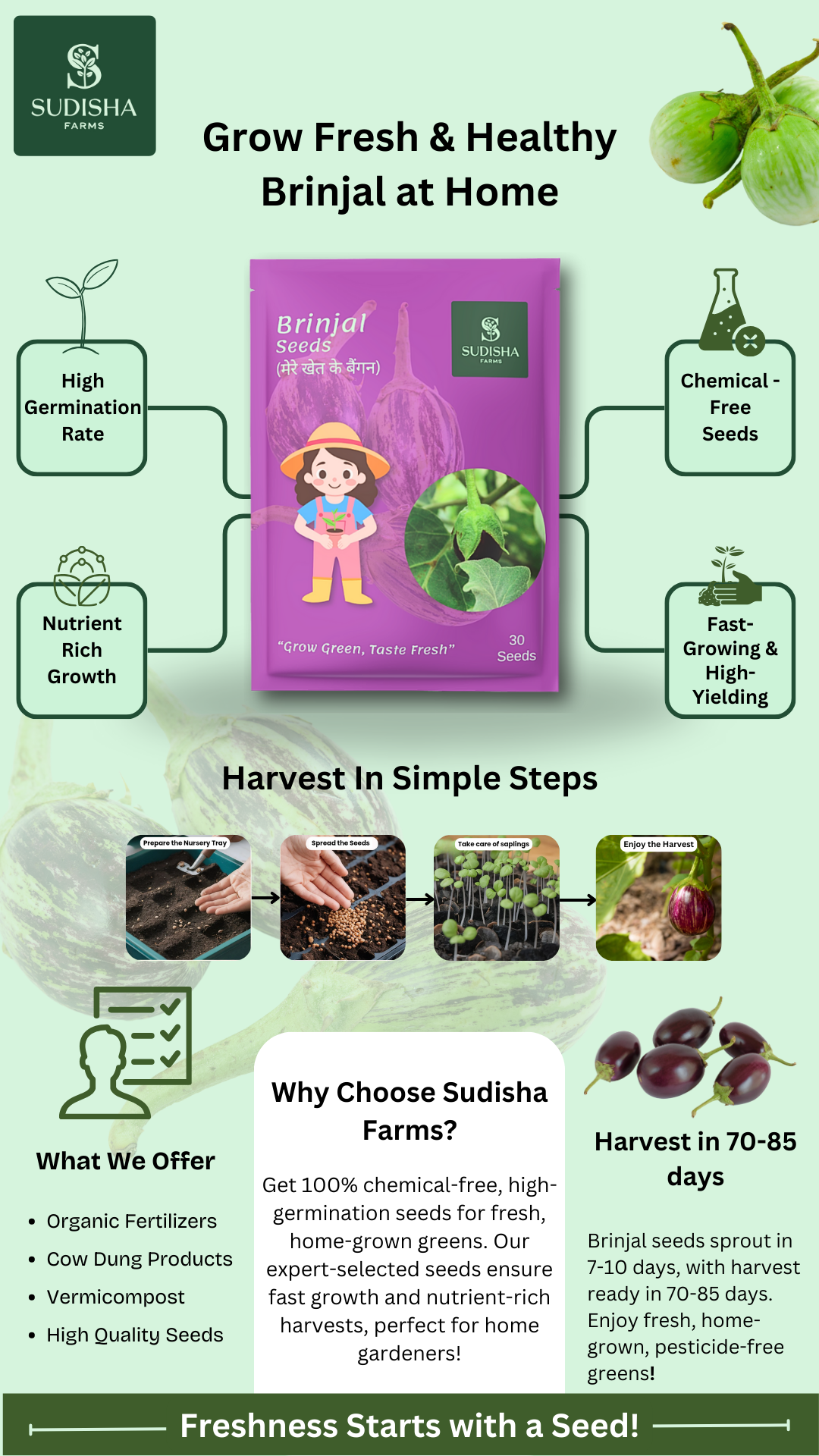 Brinjal Infographic