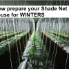 How prepare your Shade Net house for winters