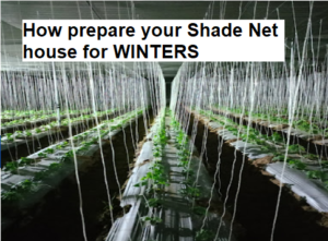 How prepare your Shade Net house for winters