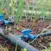 drip irrigation and its advantages