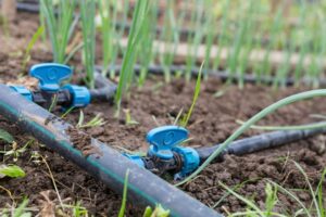 drip irrigation and its advantages