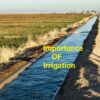 importance of irrigation