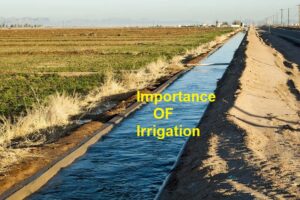 importance of irrigation