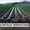 surface irrigation