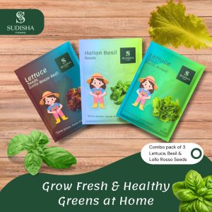 EXOTIC Combo (Green and Red Lettuce, Basil Seed)