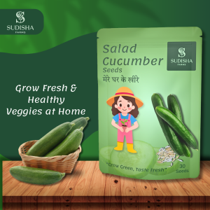 Cucumber (खीरा) Seeds