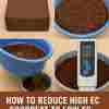 Reducing EC for Nursery Cocopeat e1748050751933