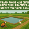 How Farm Ponds Have Changed Agricultural Practices and Benefited Ecological Balance