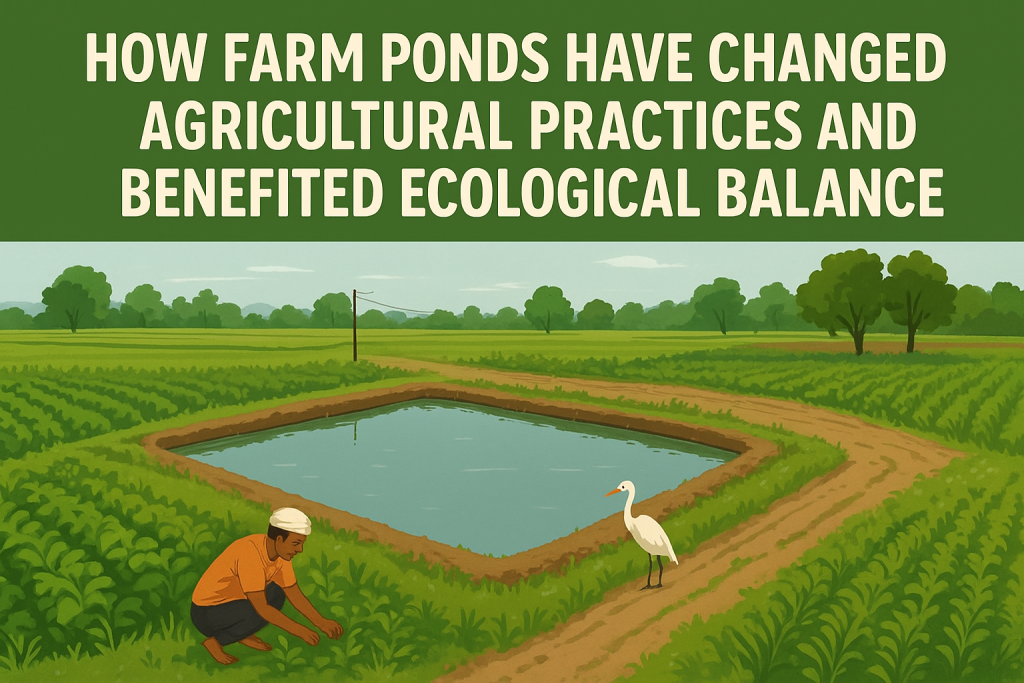 How Farm Ponds Have Changed Agricultural Practices and Benefited Ecological Balance