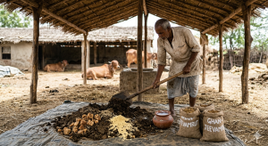Ghan-Jeevamrut: The Ultimate Organic Fertilizer Guide